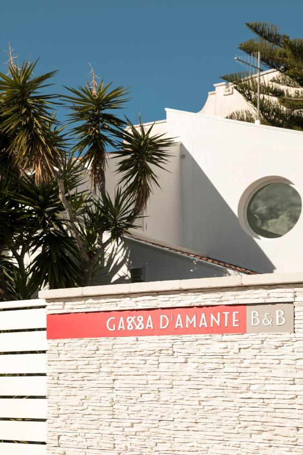 B&B Gassa D'Amante Vieste Dış mekan fotoğraf